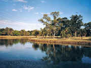 Picnic area, Riverside Park Essendon, viewed from across river in summer