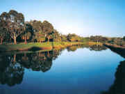 Maribyrnong River looking upstream from Afton Street footbridge, Riverside Park Essendon