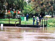 Jetty, Anglers Tavern Maribyrnong River - flood 25 October 2000