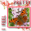 A West Side Story--I Feel Pretty