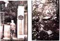 Sophienfriedhof, Berlin