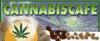 A.I.C.C. - Asociaci�n de Internautas Cannabis Caf� (ESP)
