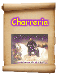 Charreria