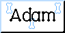 Adam