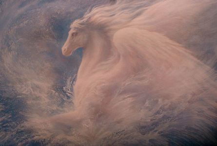 Cloudy Pegasus