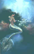 Oooh! Pretty Mermaid!