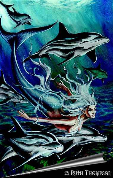 PRETTY DOLPHINS!!! AHHHHHHH!!! Oh yea... the siren's cute too