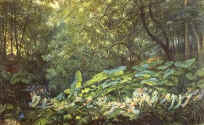 If you look closely there are fae on the ground (I think!)