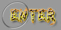 enter this site