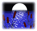 lunadenoche.gif (11033 bytes)