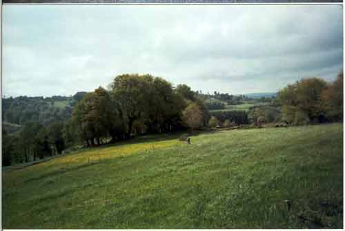 T&iacute;pico paisaje gallego