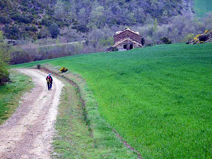 Paso junto a una borda...