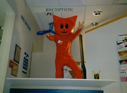 Big Red Cat!!