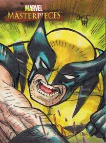 Wolverine - Chris Marrinan