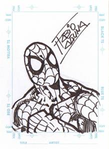 Fabio Laguna - Spider-man