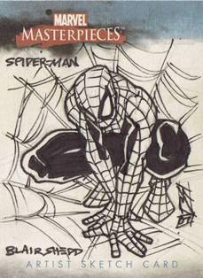 Spider-man - Blair Shedd