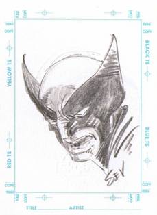Marie Severin - Wolverine