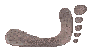 [C�diceMagliabechiano]