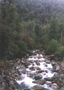 Reißender Wildbach im Nationalpark