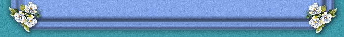 bottom.jpg (14094 bytes)
