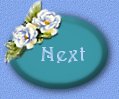bt-snext.jpg (4051 bytes)
