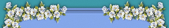 top.jpg (31645 bytes)