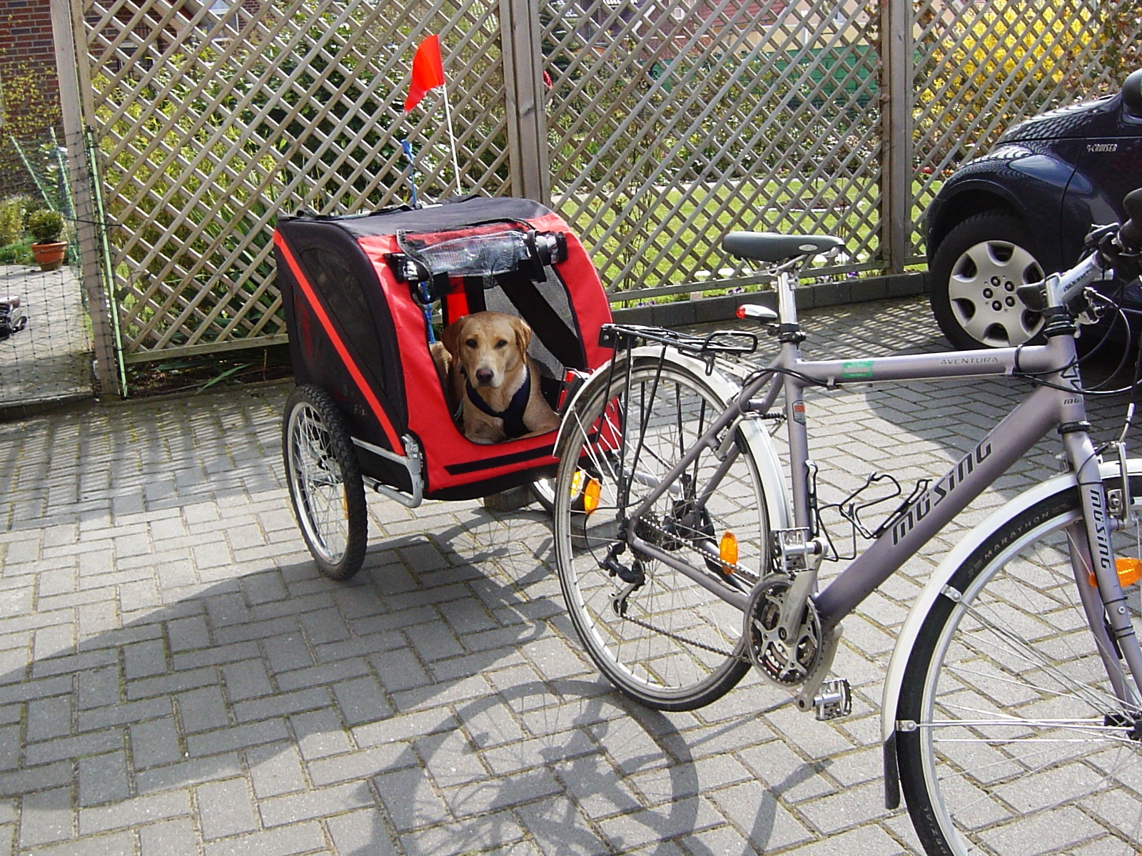 BikeFunny