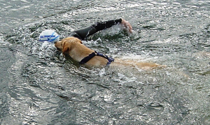 FunnySwim