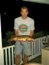 Mr_carp_sr_02.jpg (49525 bytes)