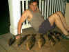 Sanyi_with_carps.jpg (262681 bytes)