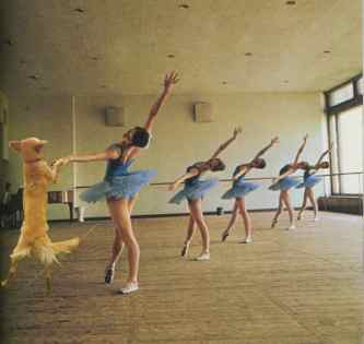 gotta_dance.JPG (8882 bytes)