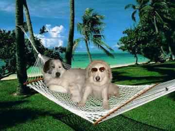 on_vacation.JPG (15125 bytes)