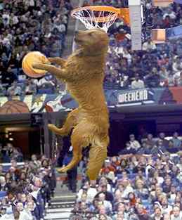 slamdunk.JPG (14798 bytes)