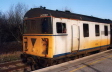 207017 at Rye