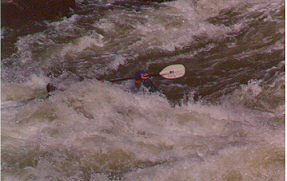 /user/kayaking3.jpg