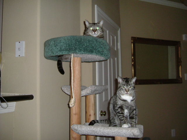 [Chillaxing, April 2004]