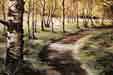 Aspen Path 1