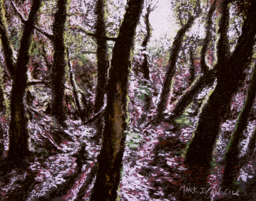 Copyright 2009 Mark Ivan Cole - All Rights Reserved