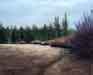 Dry Wetlands, Deschutes River, Oregon