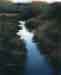 Evening Watercourse