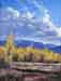 Ketchum Aspens 2
