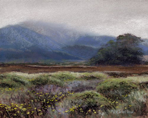 Copyright 2009 - Mark Ivan Cole - All Rights Reserved