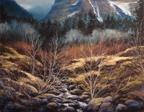 Wyeth Drainage, Columbia Gorge