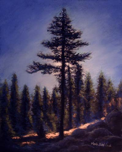 Yosemite Pine
