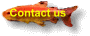 CONTACT US - ordering for Wholesalers with Exotic Fish, Mail-Order For Aquarium Supplies Distribution and Live Fish Delivery Demand