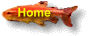 HOME of Mark Aquatic, the Tropical Fish Hatchery for Wholesale