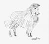 Mark Conrad - Sketch of Dog