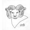 Mark Conrad - Sketch of Ram