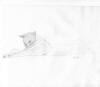 Mark Conrad - Sketch of Stretching Cat