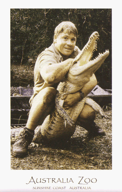 steve irwin